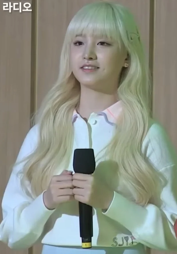 리즈