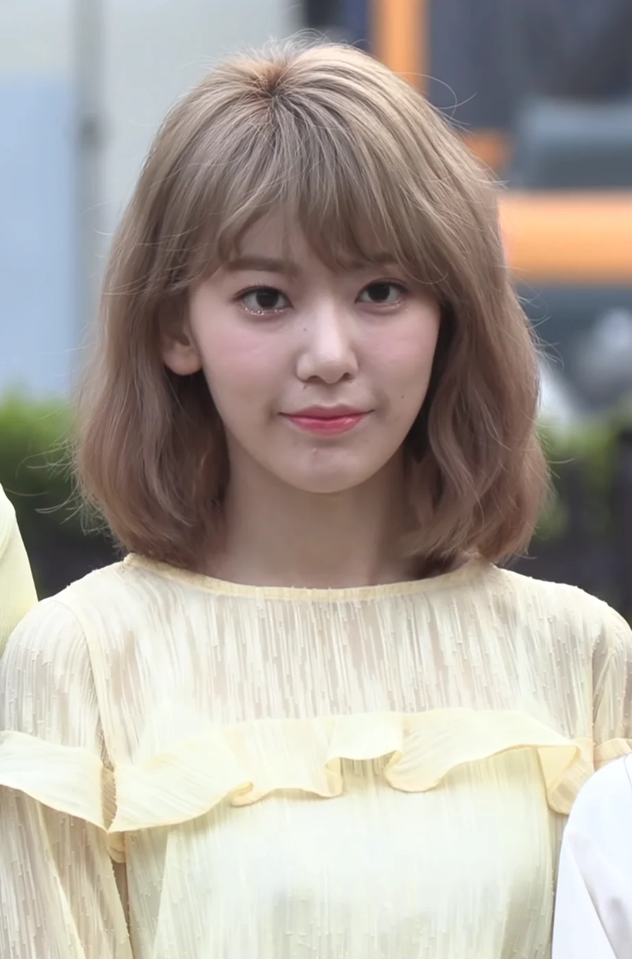 사쿠라